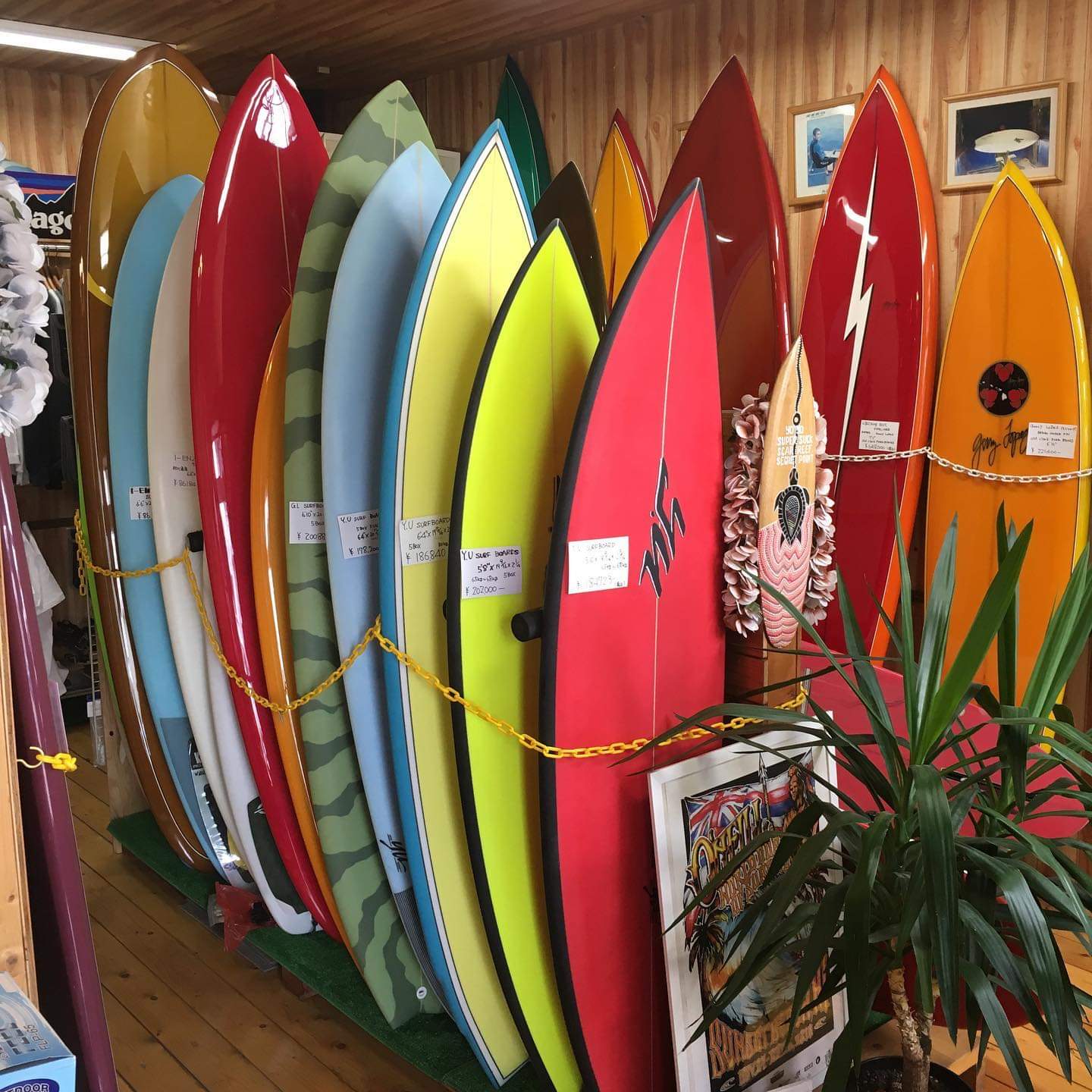 Surfer S Island サーフィンのプロショップです 初心者も大歓迎 Surfer S Island サーフィンのプロショップです 初心者も大歓迎